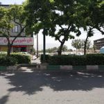 نان شیرینی جوان