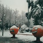 بوستان بازیافت