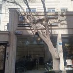کاشی وسرامیک حیدری