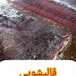 قالیشویی مبلشویی رفوگری پرویزی