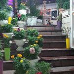 رستوران شبهای تهران