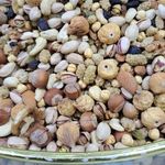 آجیل و خشکبار تقیان