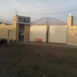 شرکت بیز