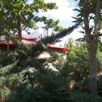 سرویس بهداشتی