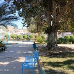 پارک ولایت