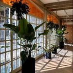 مرکز ماساژ آناندا