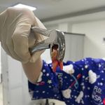 دندانپزشکی دکتر راحله مدانلو