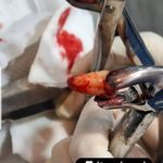 دندانپزشکی دکتر راحله مدانلو