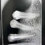 دندانپزشکی دکتر راحله مدانلو