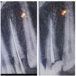 دندانپزشکی دکتر راحله مدانلو