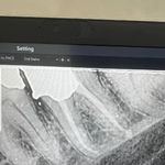 دندانپزشکی دکتر راحله مدانلو