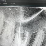 دندانپزشکی دکتر راحله مدانلو