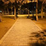 پارک بنفشه