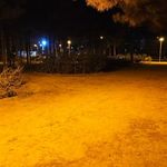 پارک بنفشه