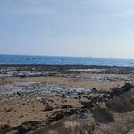 بوستان سینما دریا