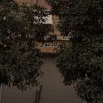 تعمیرگاه تخصصی حسین علی نژاد