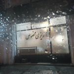 دیزی بار