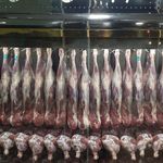سوپر پروتئین عرفان