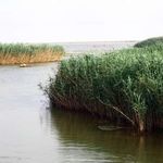 تالاب هورالعظیم (هور الهویزه)