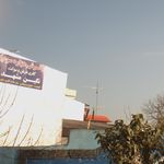 گالری فرش توکلی