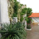 ترک اعتیاد نسیم هوشیاری امید