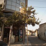 گالری فرش توکلی