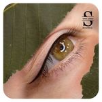 مرکز تخصصی  تاتو صالحان