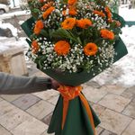 گل فروشی آندیا (شعبه یک)