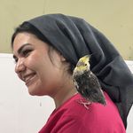 کلینیک دامپزشکی فراپت