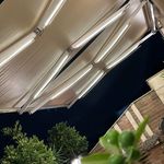 علیرضا صاعد