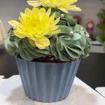 شیرینی دایی عباس