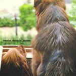 شروین کیخواه امید اسفند آبادی