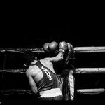 مجموعه ورزشی ولایت