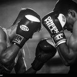 مجموعه ورزشی ولایت