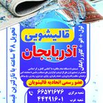 فرزین باقری