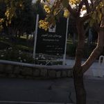 بوستان بزرگمهر