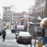 طباخی لاله