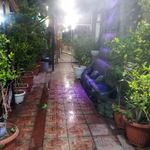 رستوران پالیز