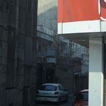 فریده شایان نیک