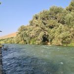 کافه رستوران کاکتوس