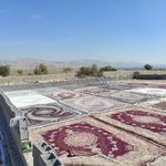 قالیشویی سی رنگ سراسر تهران (سرویس VIP)