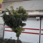 ال جی