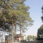 جمعه بازار