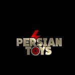 تعمیرماشین شارژی امینی