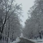 پارک جنگلی گالیکش