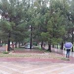 باغ جنت
