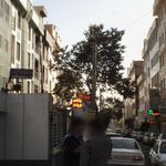 پلات پیرینت