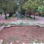 باغ جنت