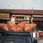 خرید وفروش جو وبرنج حبیب صدیقی