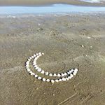 آژانس مسافرتی ماه جهان ایرانیان